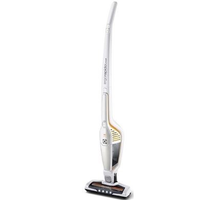 Electrolux Ergorapido ZB3004