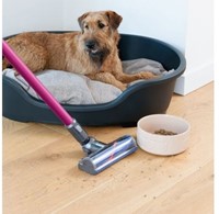 Dyson V6 Absolute-3