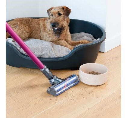 Dyson V6 Absolute-3