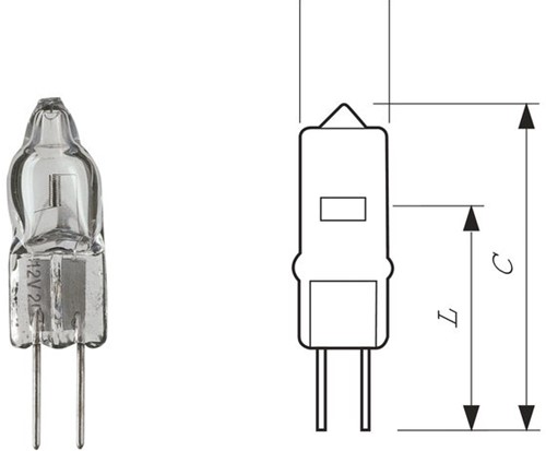 Halogeenlamp Philips Capsule 10W 12V fitting G4