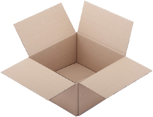 VERZENDDOOS CLEVERPACK ENKELGOLF 200X200X110MM BR 10 Stuk