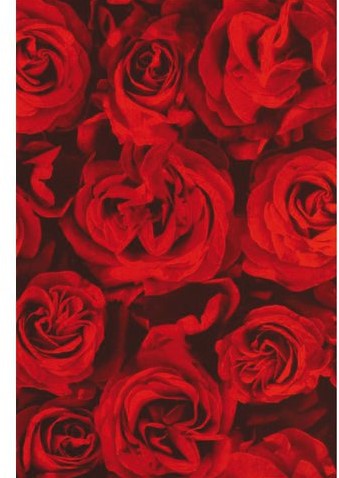 Apparaatrol Kaleidoscope 200mx50cm red roses